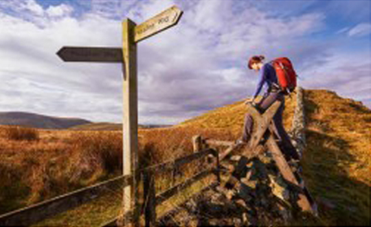 Walker walking through East Lothian